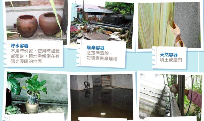 大雨過後，請加強「巡、倒、清、刷」4步驟，共同防治登革熱！