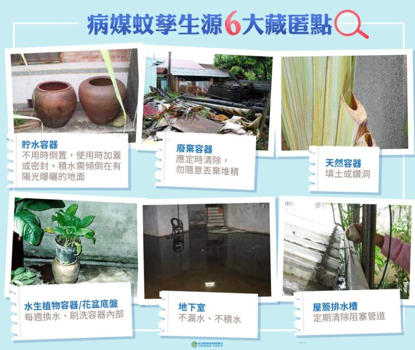 大雨過後，請加強「巡、倒、清、刷」4步驟，共同防治登革熱！